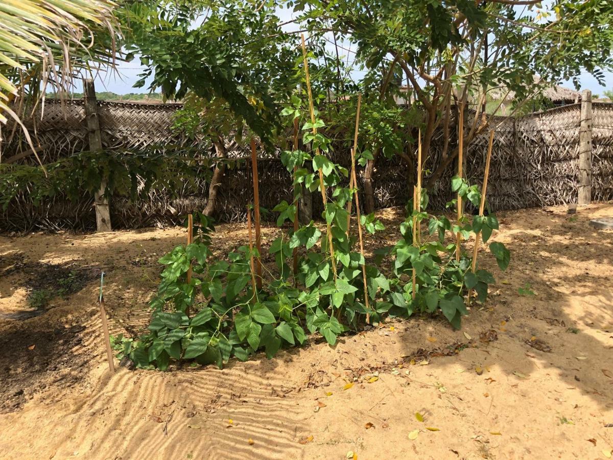 Kadjan Villa Arugam Bay Luaran gambar